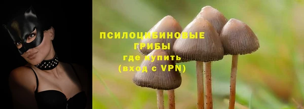 твердый Кулебаки