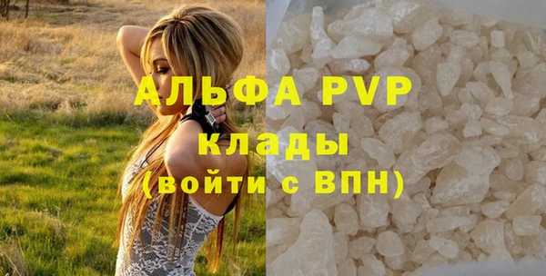 PSILOCYBIN Куйбышев
