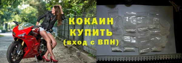 твердый Кулебаки