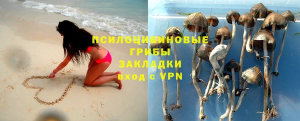 PSILOCYBIN Куйбышев