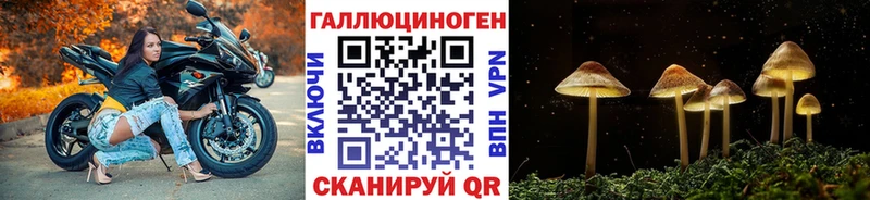 Псилоцибиновые грибы Psilocybe  Купить закладки  Амурск 