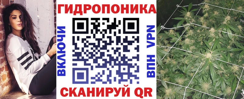 Бошки марихуана OG Kush  Купить  Амурск 